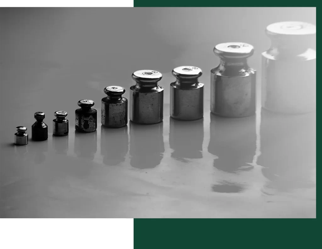 Clover Scales - Test Weights