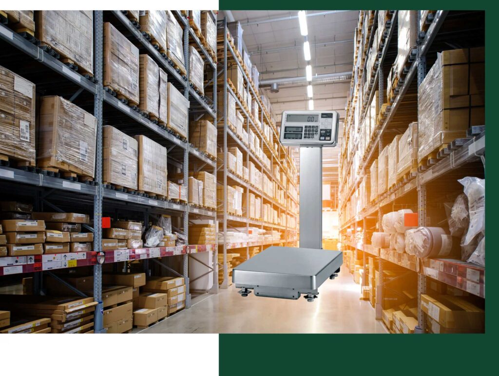 Industrial Floor Platform Scales