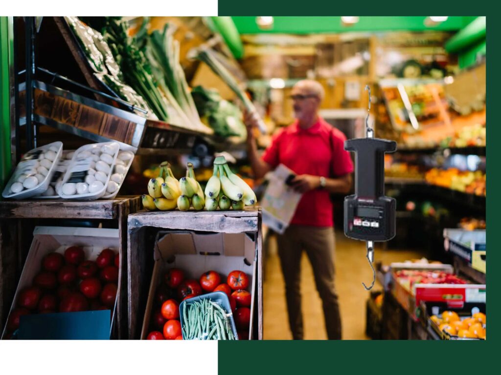 Hanging Scales For Sale