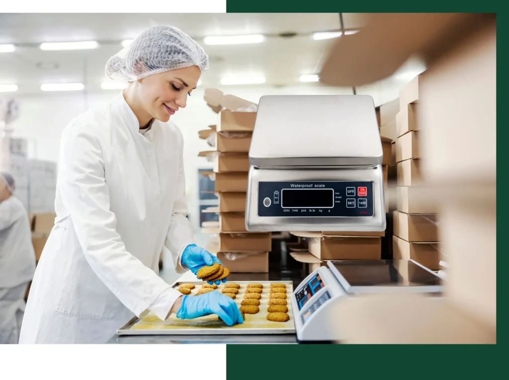 Industrial-Washdown-Scales